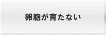 E炽Ȃ